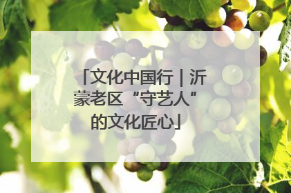 文化中国行｜沂蒙老区“守艺人”的文化匠心