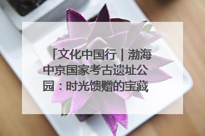 文化中国行｜渤海中京国家考古遗址公园：时光馈赠的宝藏 历史凝固的诗篇