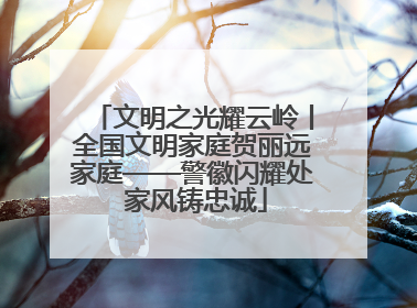 文明之光耀云岭丨全国文明家庭贺丽远家庭——警徽闪耀处 家风铸忠诚