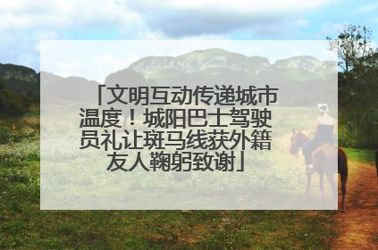 文明互动传递城市温度！城阳巴士驾驶员礼让斑马线获外籍友人鞠躬致谢