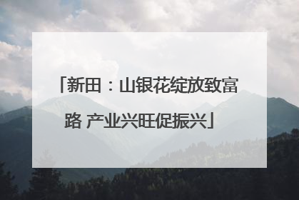 新田：山银花绽放致富路 产业兴旺促振兴