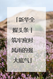 新华全媒头条丨筑牢应对风雨的强大底气