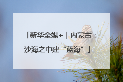 新华全媒+｜内蒙古：沙海之中建“蓝海”