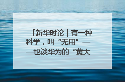 新华时论｜有一种科学，叫“无用”——也谈华为的“黄大年茶思屋”