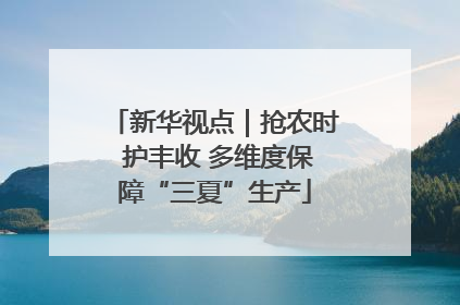 新华视点｜抢农时 护丰收 多维度保障“三夏”生产
