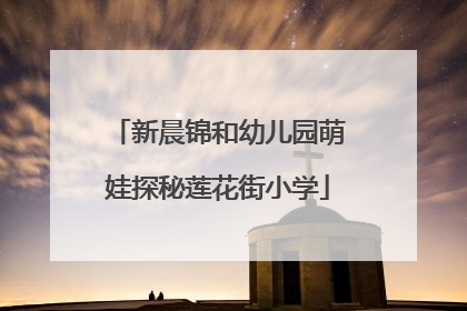 新晨锦和幼儿园萌娃探秘莲花街小学