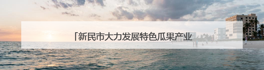 新民市大力发展特色瓜果产业 为乡村振兴注入强劲动力