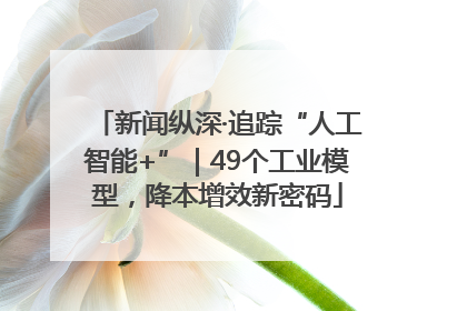 新闻纵深·追踪“人工智能+”｜49个工业模型，降本增效新密码