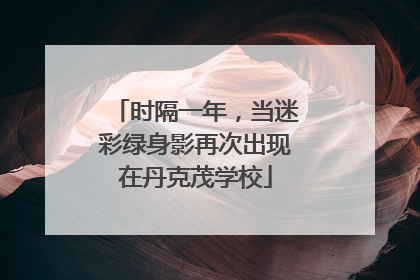 时隔一年，当迷彩绿身影再次出现在丹克茂学校