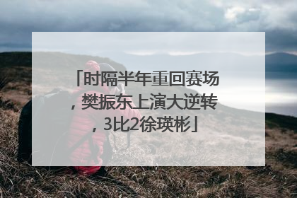 时隔半年重回赛场，樊振东上演大逆转，3比2徐瑛彬