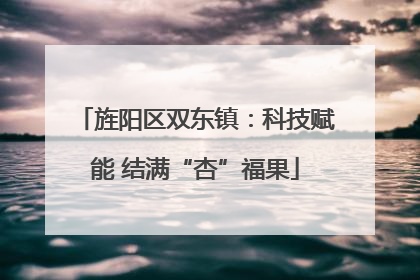 旌阳区双东镇：科技赋能 结满“杏”福果