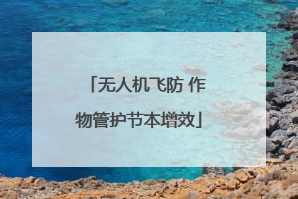 无人机飞防 作物管护节本增效