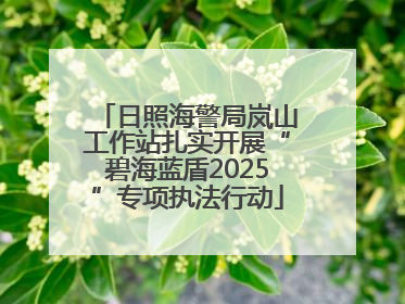 日照海警局岚山工作站扎实开展“碧海蓝盾2025”专项执法行动