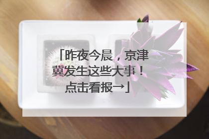 昨夜今晨，京津冀发生这些大事！点击看报→