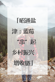 昭通盐津：蓝莓“串”起乡村振兴增收链