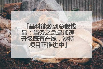 晶科能源副总裁钱晶：当务之急是加速升级既有产线，沙特项目正推进中