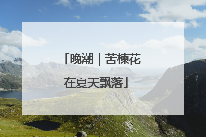 晚潮｜苦楝花在夏天飘落