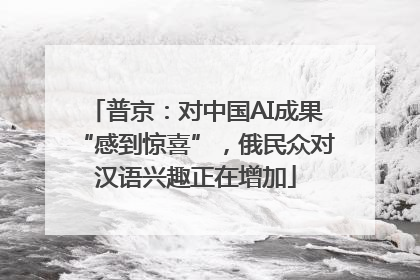 普京：对中国AI成果“感到惊喜”，俄民众对汉语兴趣正在增加