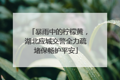 暴雨中的柠檬黄，湖北应城交警全力疏堵保畅护平安