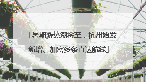 暑期游热潮将至，杭州始发新增、加密多条直达航线