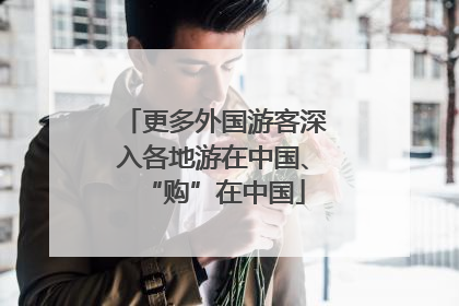 更多外国游客深入各地游在中国、“购”在中国
