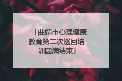 曲靖市心理健康教育第二次巡回培训圆满结束