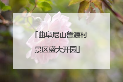 曲阜尼山鲁源村景区盛大开园