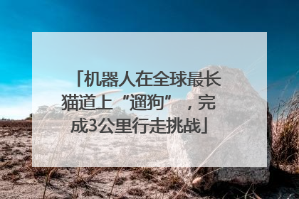 机器人在全球最长猫道上“遛狗”，完成3公里行走挑战