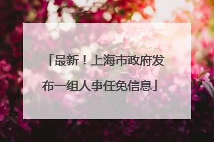 最新！上海市政府发布一组人事任免信息