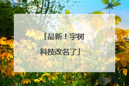 最新！宇树科技改名了