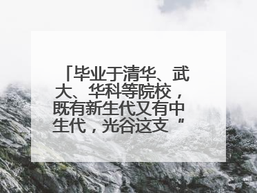 毕业于清华、武大、华科等院校，既有新生代又有中生代，光谷这支“理工男团”为何“出道”？