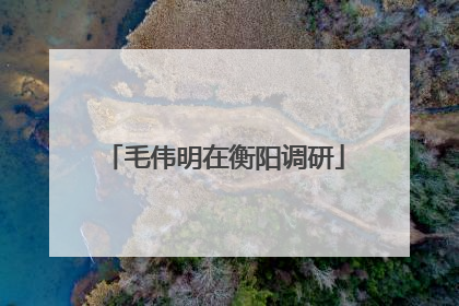 毛伟明在衡阳调研