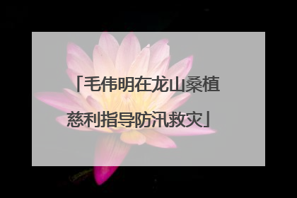 毛伟明在龙山桑植慈利指导防汛救灾