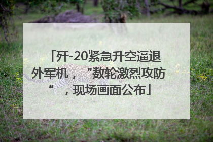 歼-20紧急升空逼退外军机，“数轮激烈攻防”，现场画面公布