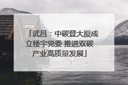 武昌：中碳登大厦成立楼宇党委 推进双碳产业高质量发展
