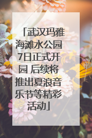 武汉玛雅海滩水公园7日正式开园 后续将推出夏浪音乐节等精彩活动