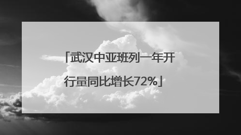 武汉中亚班列一年开行量同比增长72%
