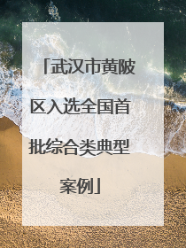 武汉市黄陂区入选全国首批综合类典型案例