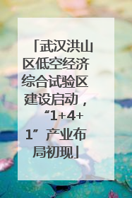 武汉洪山区低空经济综合试验区建设启动，“1+4+1”产业布局初现