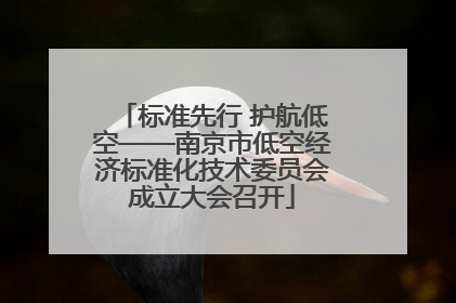 标准先行 护航低空——南京市低空经济标准化技术委员会成立大会召开