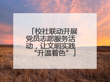 校社联动开展党员志愿服务活动，让文明实践“升温着色”
