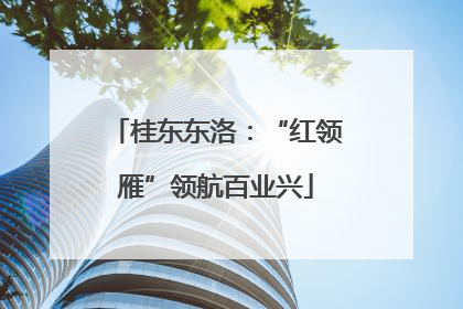 桂东东洛：“红领雁”领航百业兴