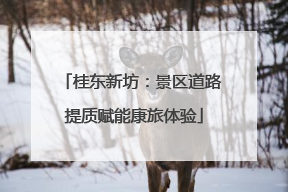桂东新坊：景区道路提质赋能康旅体验