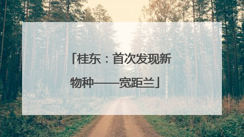桂东：首次发现新物种——宽距兰