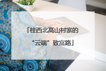桂西北高山村寨的“云端”致富路