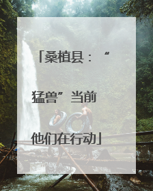 桑植县：“猛兽”当前 他们在行动