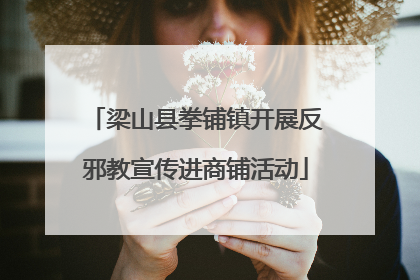 梁山县拳铺镇开展反邪教宣传进商铺活动