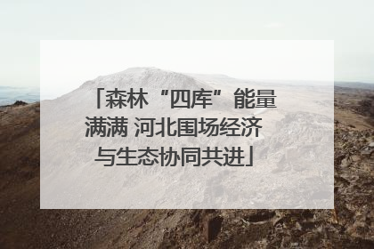 森林“四库”能量满满 河北围场经济与生态协同共进