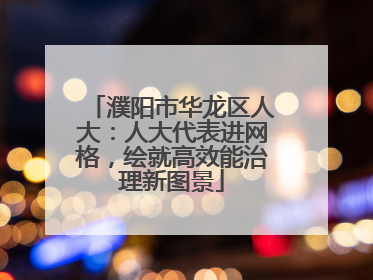 濮阳市华龙区人大：人大代表进网格，绘就高效能治理新图景