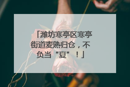 潍坊寒亭区寒亭街道麦熟归仓，不负当“夏”！